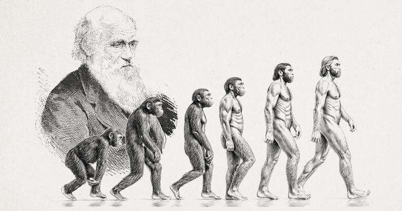 ダーウィンと人類進化の系統を描いたイラスト
